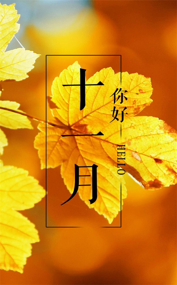 2025澳门开门奖结果