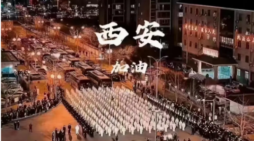 2025澳门开门奖结果