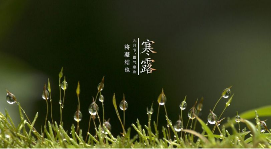 2025澳门开门奖结果