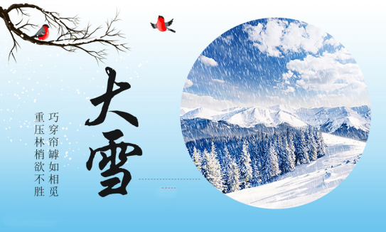 2025澳门开门奖结果
