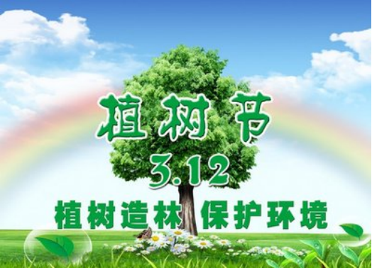 2025澳门开门奖结果