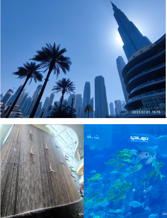 2025澳门开门奖结果
