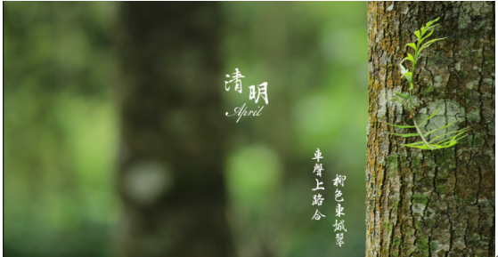 2025澳门开门奖结果