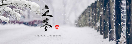 2025澳门开门奖结果