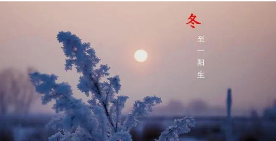 2025澳门开门奖结果