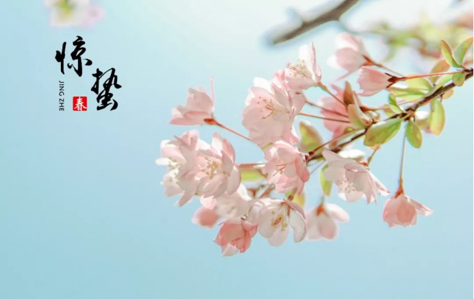 2025澳门开门奖结果