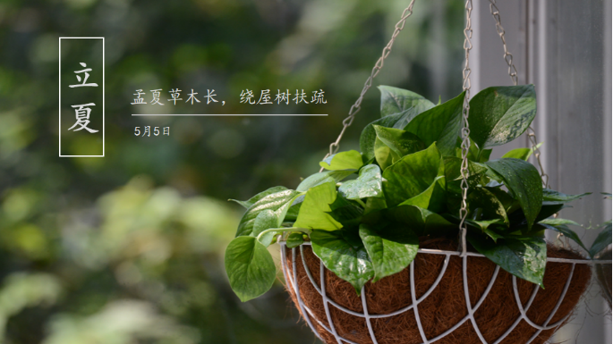 2025澳门开门奖结果