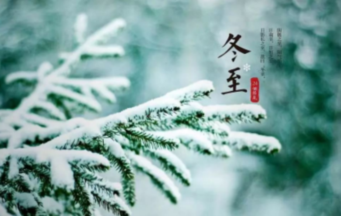 2025澳门开门奖结果