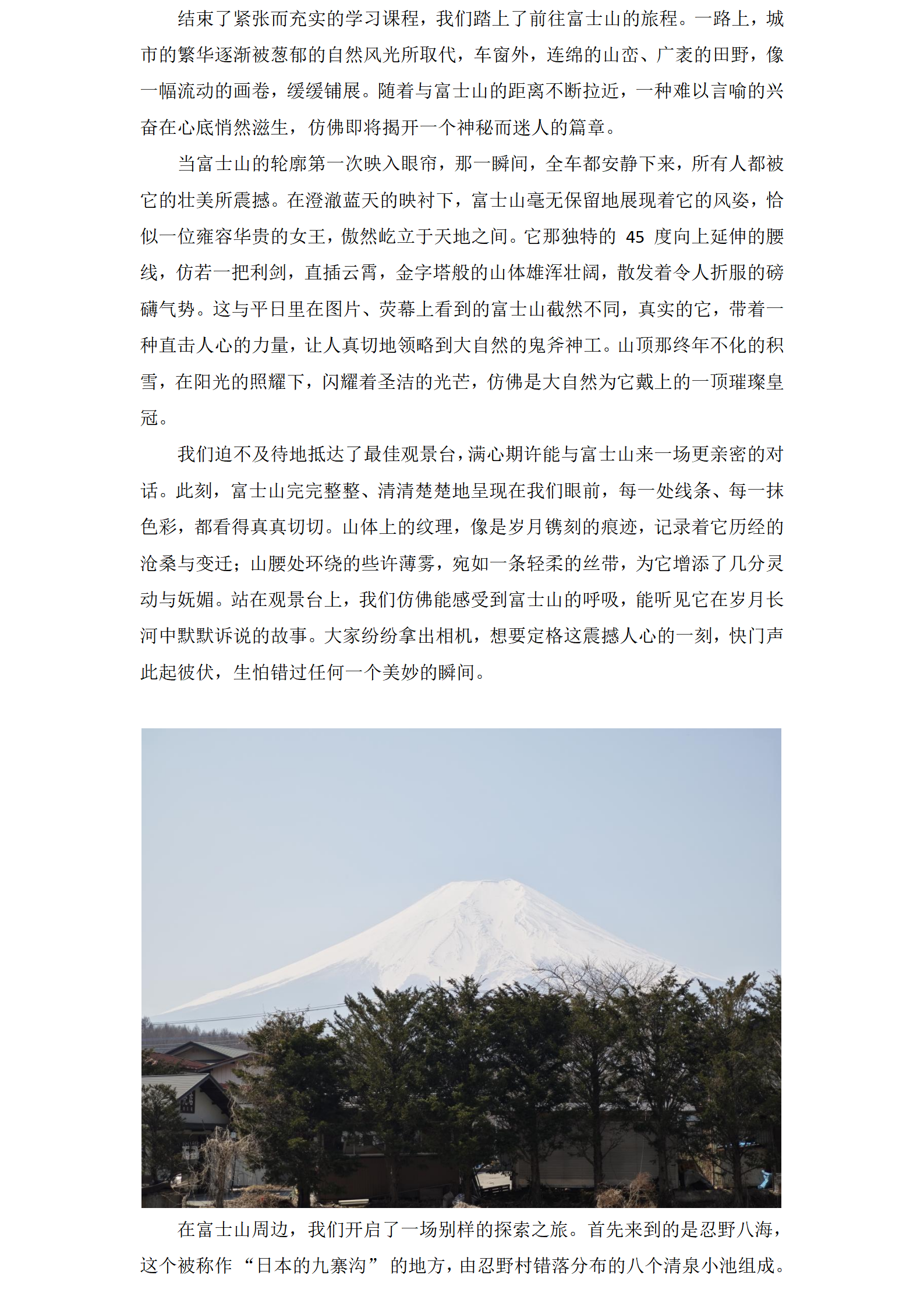 2025澳门开门奖结果